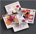 Maple Leaf Cookie Cutter with Handle
