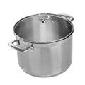 Chantal 8 quart Induction 21 Steel Stock Pot with Lid