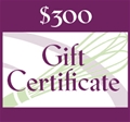 $300 Gift Certificate