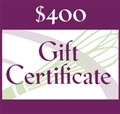 $400 Gift Certificate