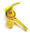 Lemon Squeezer/Juicer