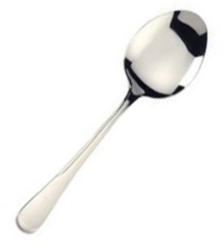 Stainless Serving Spoon 9&quot;