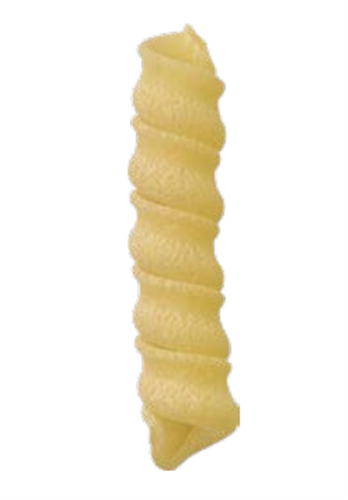 Cannolicchi Pasta